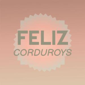 Listen to Feliz Corduroys song with lyrics from Jereme Sofy