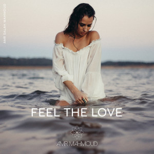 Dengarkan Feel the Love lagu dari Amr Salah Mahmoud dengan lirik