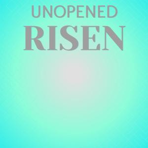 Various Artists的專輯Unopened Risen