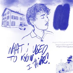 Squito的專輯What I Used To Know, I Think? (Explicit)