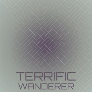 Various的专辑Terrific Wanderer