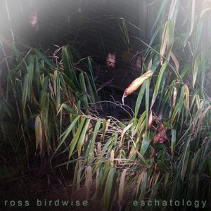 收聽Ross Birdwise的Warped Window歌詞歌曲
