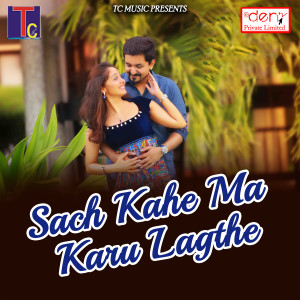 Listen to Harish Ke DJ Ho song with lyrics from Kanhaiya Padwar