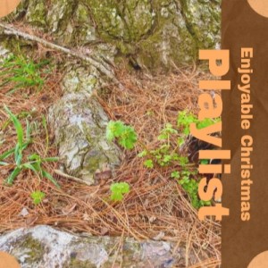 Album Enjoyable Christmas Playlist from Various