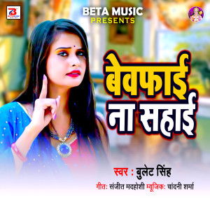 Album Bewafai Na Sahai from 