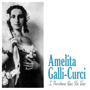 อัลบัม I Puritani Qui La Voce ศิลปิน Amelita Galli-Curci