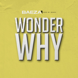 ดาวน์โหลดและฟังเพลง Wonder Why (Explicit) พร้อมเนื้อเพลงจาก Baeza