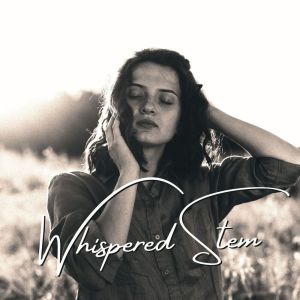 อัลบัม Whispered Stem (Framed by Light) ศิลปิน Calming Piano Music Collection