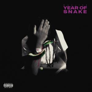 收聽Maajins的Year Of Snake (Explicit)歌詞歌曲