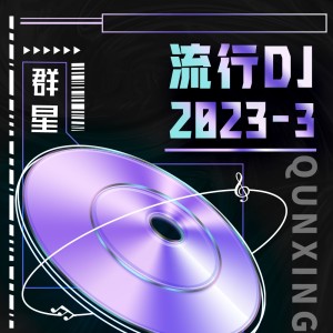 流行DJ2023-3 dari Various Artists