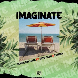 Imaginate conmigo (feat. Tato cash & Luisma bb) dari Senor Bachata