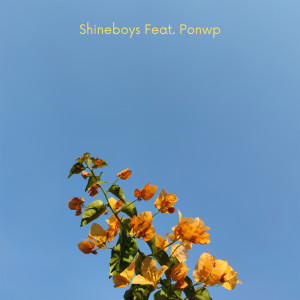 ดาวน์โหลดและฟังเพลง วาเลนติน่า พร้อมเนื้อเพลงจาก Shineboys