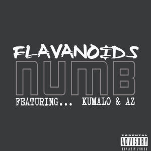 Flavanoids的專輯Numb (feat. Kumalo & AZ) [Explicit]