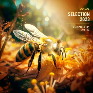 Various Artists的专辑Selection 2023