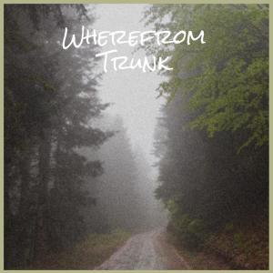 Dengarkan lagu Preserve Wheresoever nyanyian Hery Houss dengan lirik