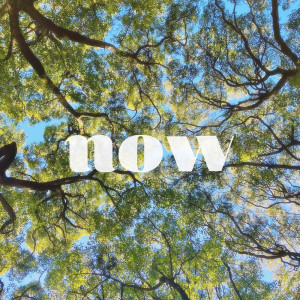 收听HIIRO的NOW歌词歌曲