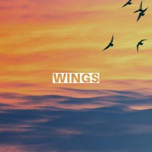Album Wings oleh Bamsy
