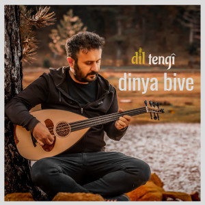 Listen to Dinya Bive song with lyrics from Dil Tengi