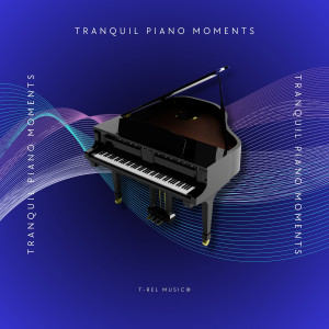 Relaxing Piano Group的專輯Tranquil Piano Moments