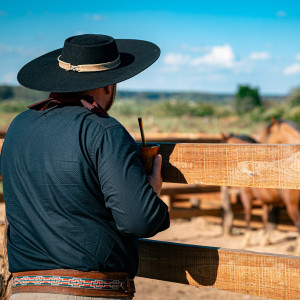 Dengarkan Caboclo Brasileiro lagu dari Roger Morais e Pátria Gaúcha dengan lirik
