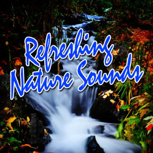 收聽Deep Sleep Music的Rolling Ocean Waves for Yoga Meditation歌詞歌曲