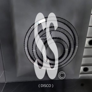 Dengarkan ss disco (feat. jew ian) lagu dari YOODAI dengan lirik