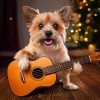 default album img