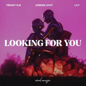 ดาวน์โหลดและฟังเพลง Looking for You พร้อมเนื้อเพลงจาก Freaky DJs
