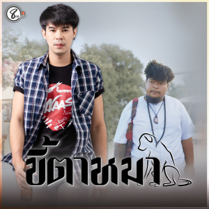 Listen to ขี้ตาหมา song with lyrics from วัฒน์ ณ วัฒน์ แปดแสนซาวด์