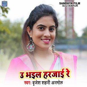 Listen to U Bahial Harjai Re song with lyrics from Brijesh Shahni Anmol