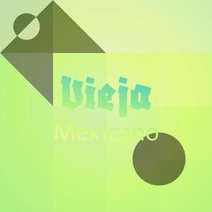 Listen to Vieja Mexicano song with lyrics from Chada Rolis