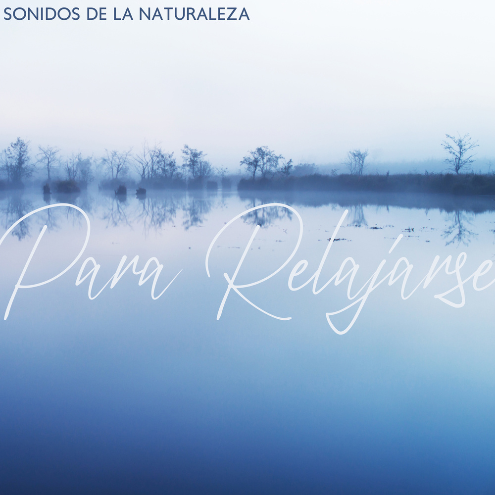 Calma Eterna Antes de Acostarse