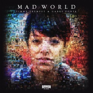 Download Mad World Mp3 By Timmy Trumpet Mad World Lyrics Download Song Online