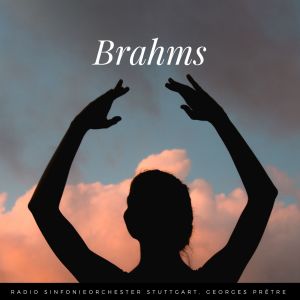 收聽Radio Sinfonieorchester Stuttgart的21 Hungarian Dances, WoO 1: No. 17 in F-Sharp Minor, Andantino歌詞歌曲