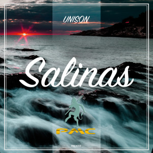 Dengarkan lagu Salinas nyanyian Unison dengan lirik