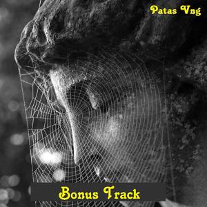 ดาวน์โหลดและฟังเพลง Bonus Track พร้อมเนื้อเพลงจาก Patas Vng