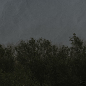 Album by your side from satellite.