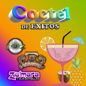 Album Coctel De Exitos from Various