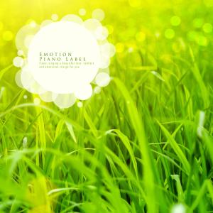 收听Sunset Glow的A candle that you can light your heart歌词歌曲