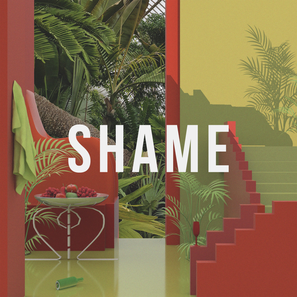 Shame (其他)