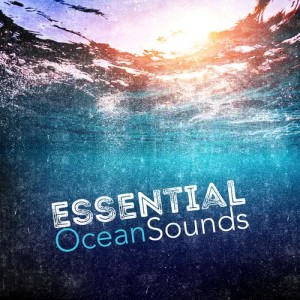 ดาวน์โหลดและฟังเพลง The Tide Subsides พร้อมเนื้อเพลงจาก Outside Broadcast Recordings