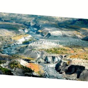 ดาวน์โหลดและฟังเพลง Hall Megan พร้อมเนื้อเพลงจาก Gine Seus