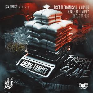 收聽Scale Music Family的How You Move (feat. Ubylis Da Plug, Mike Smiff, Rondo Smiff & Tyson El Dominicano) (Explicit)歌詞歌曲