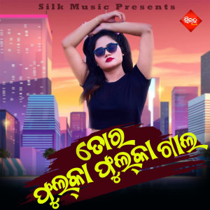 Listen to Tora Fulka Fulka Gala song with lyrics from Shakti Mishra