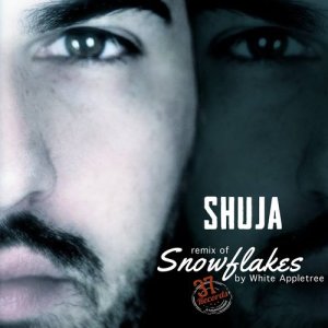 อัลบัม Snowflakes (Shuja Remix) ศิลปิน White Apple Tree