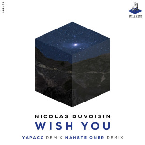 Dengarkan lagu Wish You (Nahste Oner Remix) nyanyian Nicolas Duvoisin dengan lirik