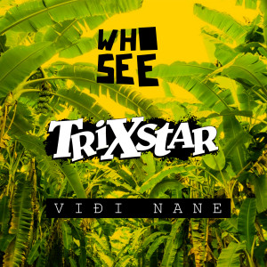 Album Viđi nane from Trixstar