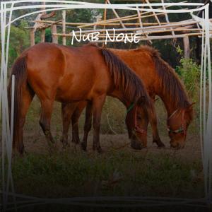 Listen to Pith Yonder song with lyrics from Jera Erson