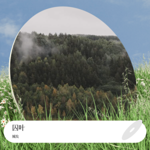 Listen to 囚叶 (完整版) song with lyrics from 缄玫