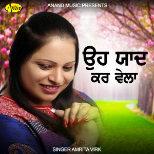 ดาวน์โหลดและฟังเพลง Mainu Puchhan Nanana พร้อมเนื้อเพลงจาก Amrita Virk